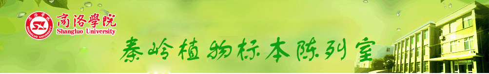 全讯新2网官网